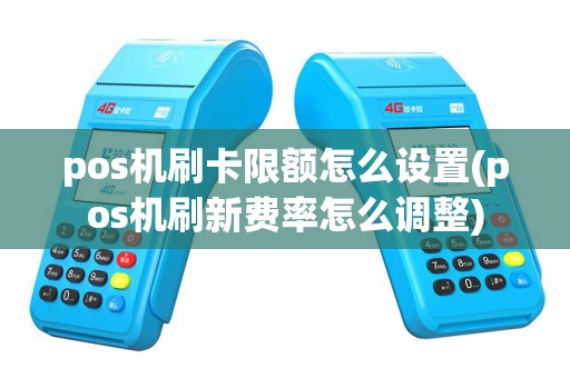 pos机刷卡限额怎么设置(pos机刷新费率怎么调整)