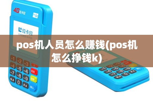 pos机人员怎么赚钱(pos机怎么挣钱k)