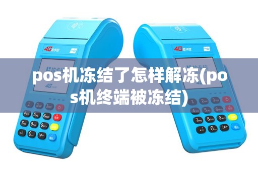 pos机冻结了怎样解冻(pos机终端被冻结)