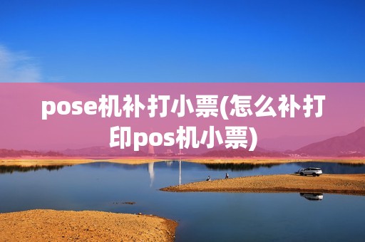 pose机补打小票(怎么补打印pos机小票)