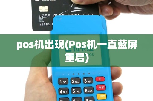 pos机出现(Pos机一直蓝屏重启)