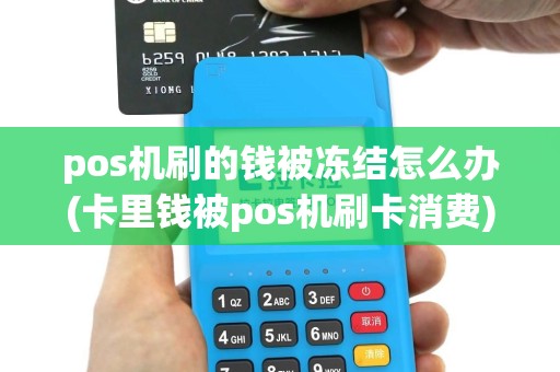 pos机刷的钱被冻结怎么办(卡里钱被pos机刷卡消费)