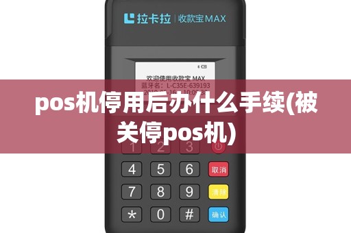 pos机停用后办什么手续(被关停pos机)