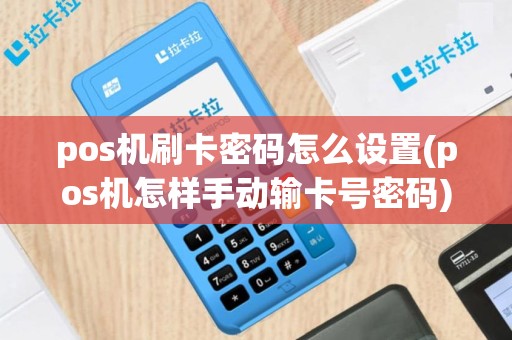 pos机刷卡密码怎么设置(pos机怎样手动输卡号密码)