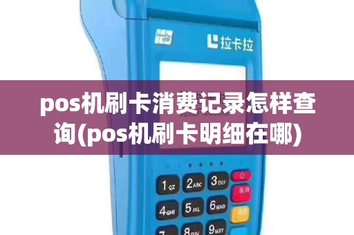 pos机刷卡消费记录怎样查询(pos机刷卡明细在哪)