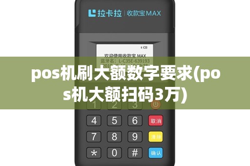 pos机刷大额数字要求(pos机大额扫码3万)