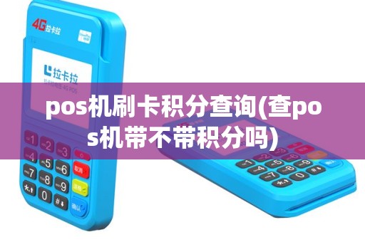pos机刷卡积分查询(查pos机带不带积分吗)