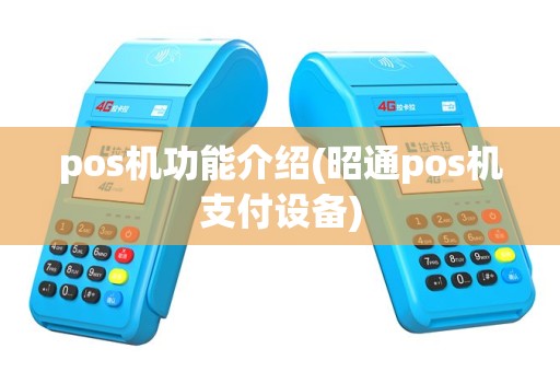 pos机功能介绍(昭通pos机支付设备)