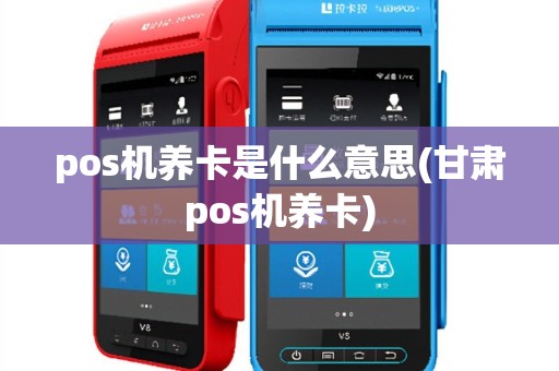 pos机养卡是什么意思(甘肃pos机养卡)