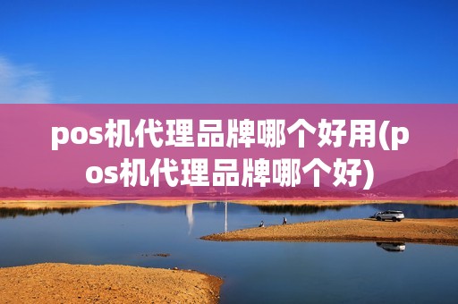 pos机代理品牌哪个好用(pos机代理品牌哪个好)