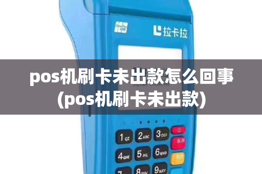 pos机刷卡未出款怎么回事(pos机刷卡未出款)