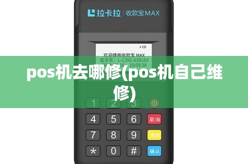 pos机去哪修(pos机自己维修)