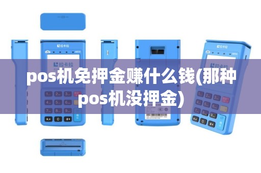 pos机免押金赚什么钱(那种pos机没押金)