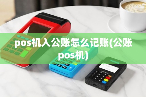 pos机入公账怎么记账(公账pos机)