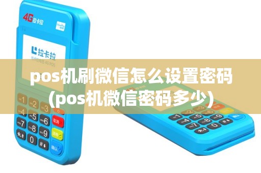 pos机刷微信怎么设置密码(pos机微信密码多少)