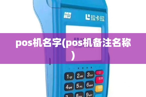 pos机名字(pos机备注名称)