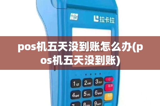pos机五天没到账怎么办(pos机五天没到账)