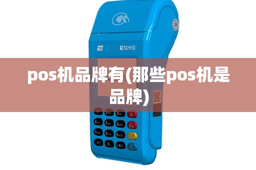 pos机品牌有(那些pos机是品牌)