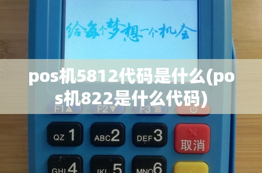 pos机5812代码是什么(pos机822是什么代码)