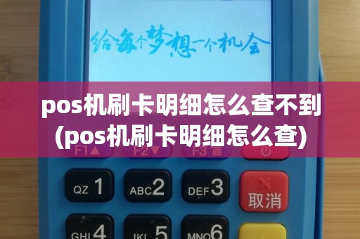 pos机刷卡明细怎么查不到(pos机刷卡明细怎么查)