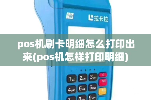 pos机刷卡明细怎么打印出来(pos机怎样打印明细)