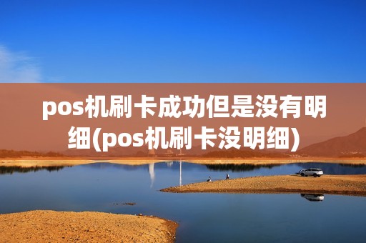 pos机刷卡成功但是没有明细(pos机刷卡没明细)
