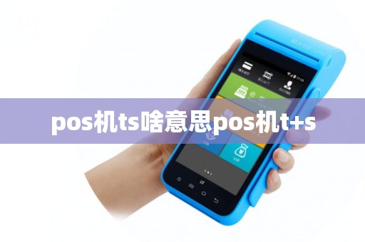 pos机ts啥意思pos机t+s