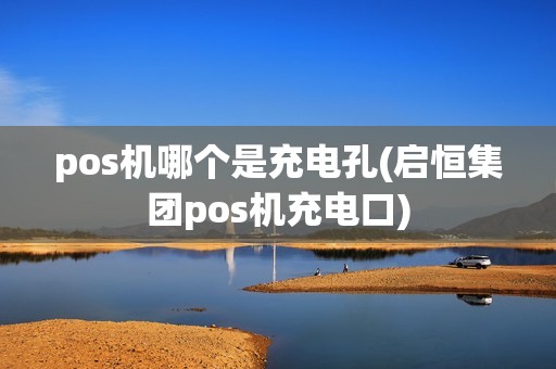 pos机哪个是充电孔(启恒集团pos机充电口)