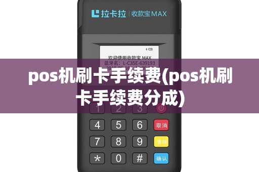 pos机刷卡手续费(pos机刷卡手续费分成)