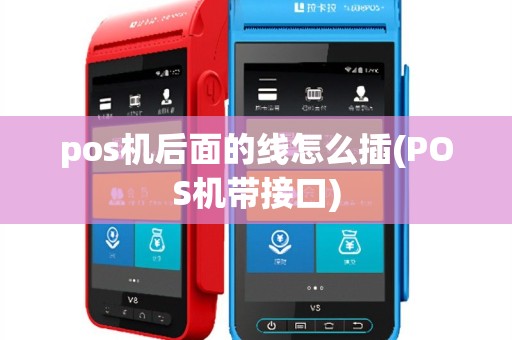 pos机后面的线怎么插(POS机带接口)