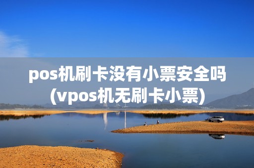 pos机刷卡没有小票安全吗(vpos机无刷卡小票)