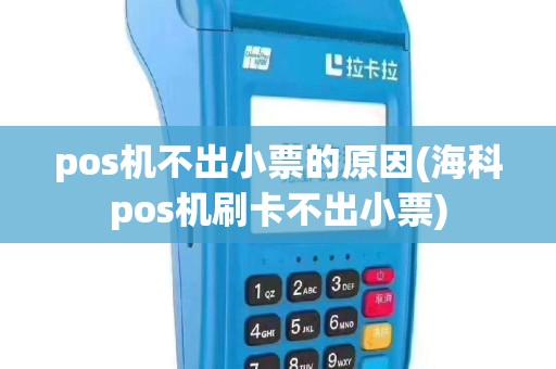 pos机不出小票的原因(海科pos机刷卡不出小票)