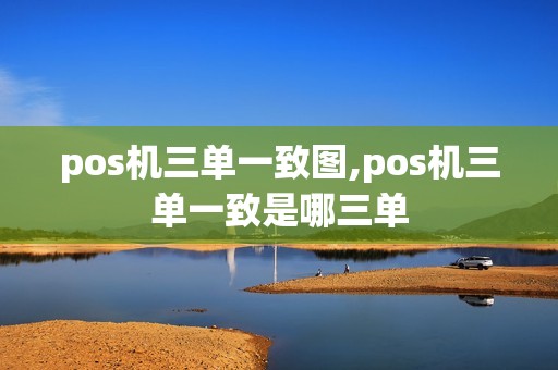 pos机三单一致图,pos机三单一致是哪三单