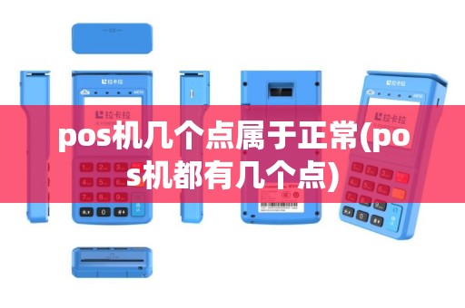 pos机几个点属于正常(pos机都有几个点)