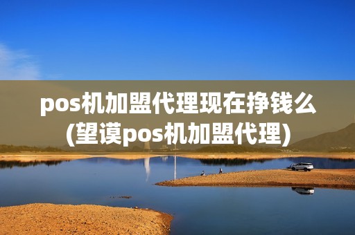 pos机加盟代理现在挣钱么(望谟pos机加盟代理)