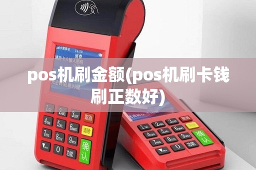 pos机刷金额(pos机刷卡钱刷正数好)