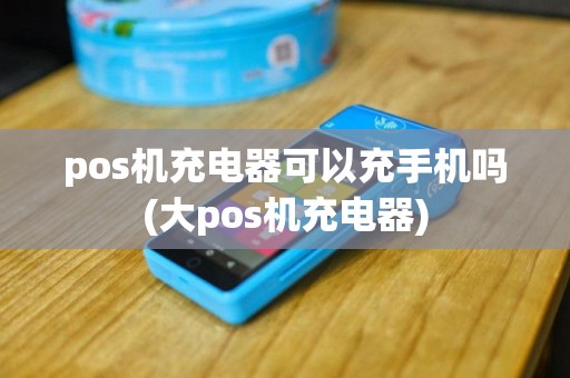 pos机充电器可以充手机吗(大pos机充电器)