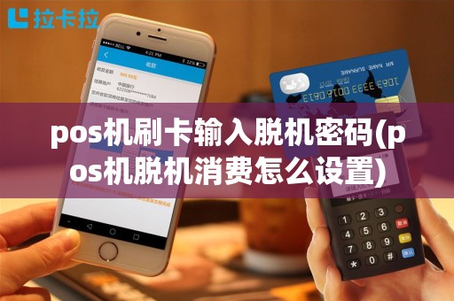 pos机刷卡输入脱机密码(pos机脱机消费怎么设置)