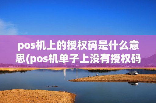 pos机上的授权码是什么意思(pos机单子上没有授权码)