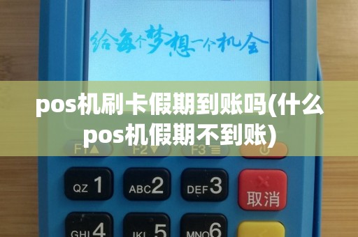 pos机刷卡假期到账吗(什么pos机假期不到账)