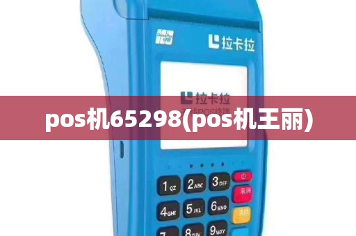 pos机65298(pos机王丽)