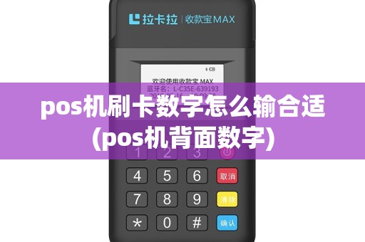 pos机刷卡数字怎么输合适(pos机背面数字)