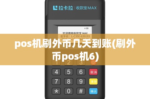 pos机刷外币几天到账(刷外币pos机6)