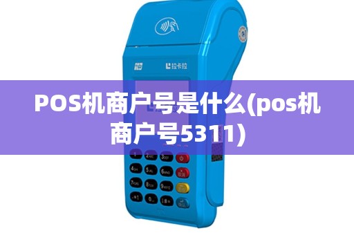 POS机商户号是什么(pos机商户号5311)