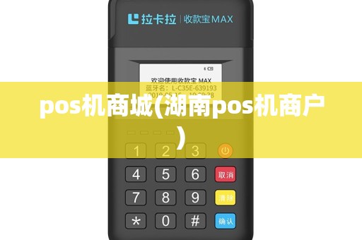 pos机商城(湖南pos机商户)