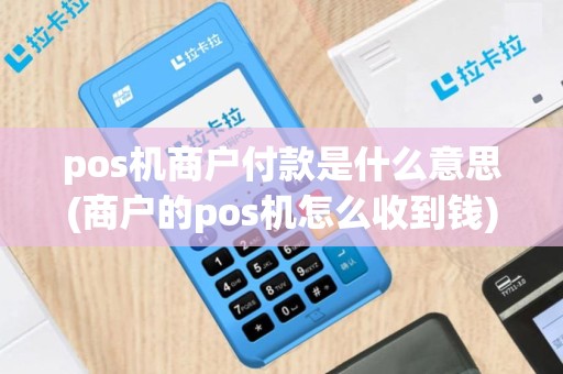 pos机商户付款是什么意思(商户的pos机怎么收到钱)