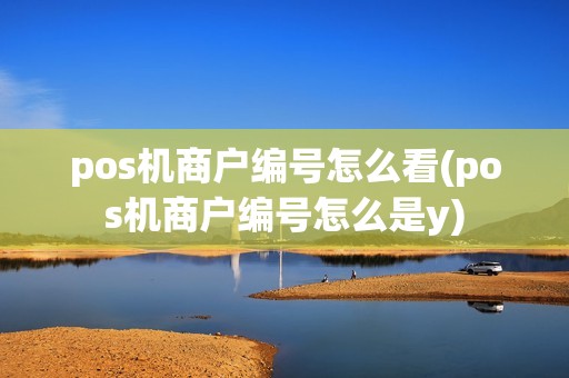 pos机商户编号怎么看(pos机商户编号怎么是y)