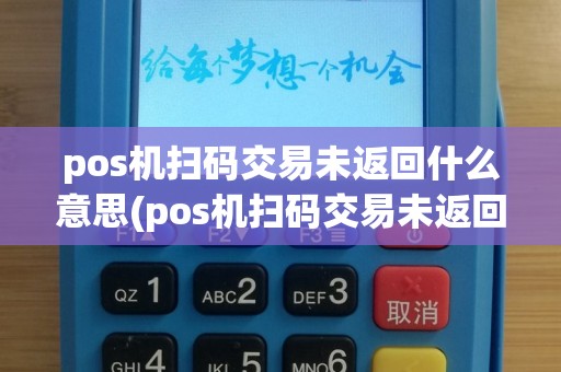 pos机扫码交易未返回什么意思(pos机扫码交易未返回)