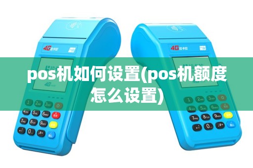 pos机如何设置(pos机额度怎么设置)