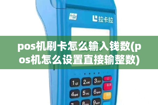 pos机刷卡怎么输入钱数(pos机怎么设置直接输整数)
